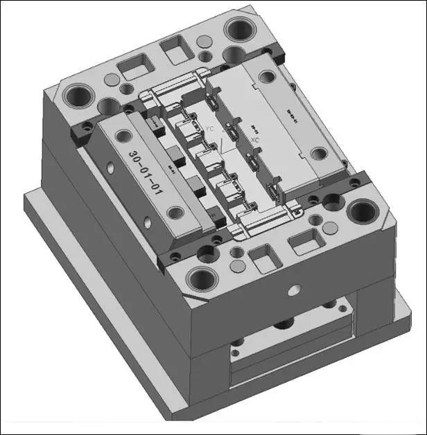 Composition and function of injection mold structure